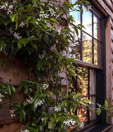 The Coach House In The Heart Of Bishopston Apartamento *