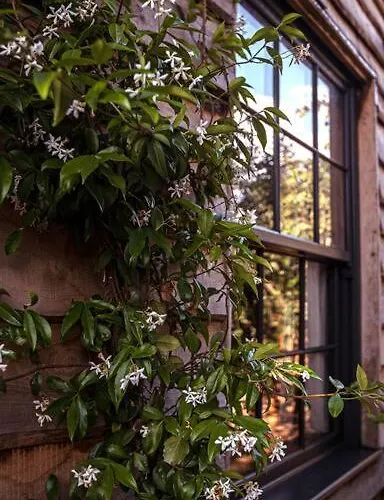 The Coach House In The Heart Of Bishopston 公寓 *