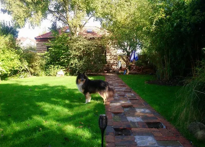 公寓 The Coach House In The Heart Of Bishopston 布里斯托