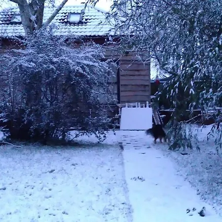 The Coach House In The Heart Of Bishopston Lejlighed *