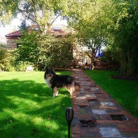 Lejlighed The Coach House In The Heart Of Bishopston Bristol