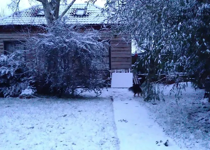 The Coach House In The Heart Of Bishopston Appartement *