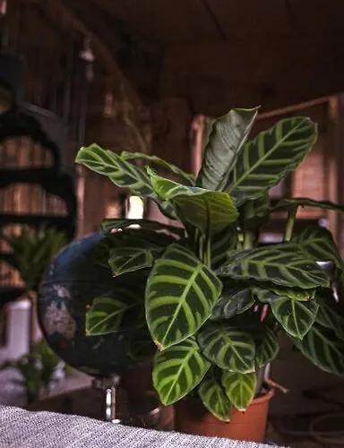 The Coach House In The Heart Of Bishopston Appartement *